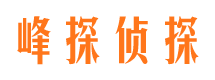 镇雄婚外情调查取证